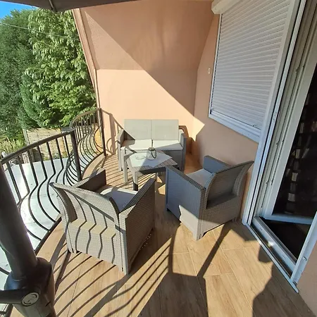 Erna 잘라카로쉬